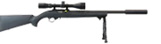 Ruger .22 rifle with bipolar